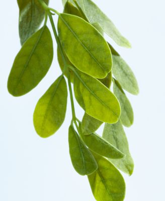 Color Protecting Shampoo, 10.1 oz.