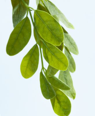 Color Protecting Conditioner, 33.8 oz.