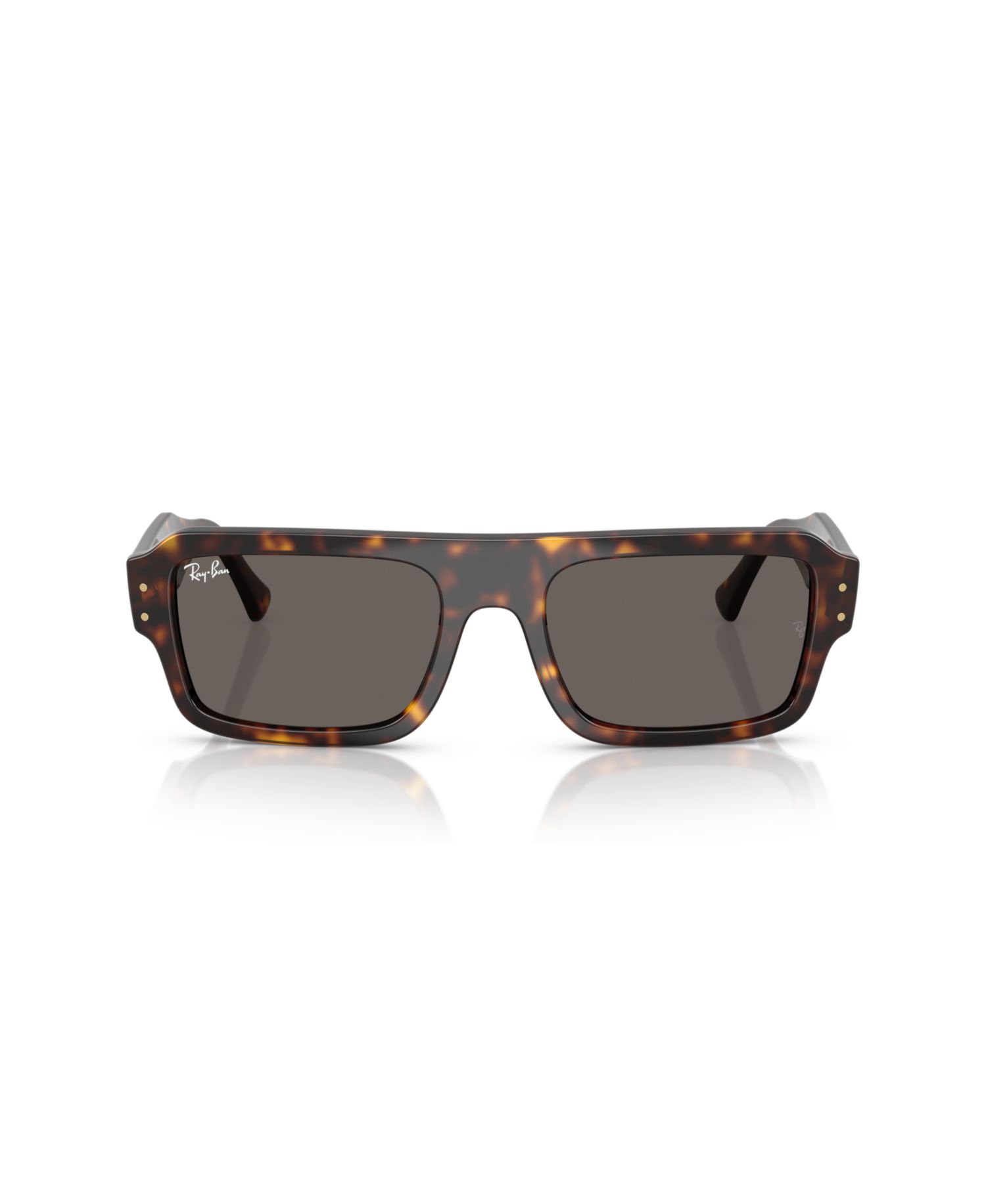 Unisex Lukas Sunglasses, RB4454