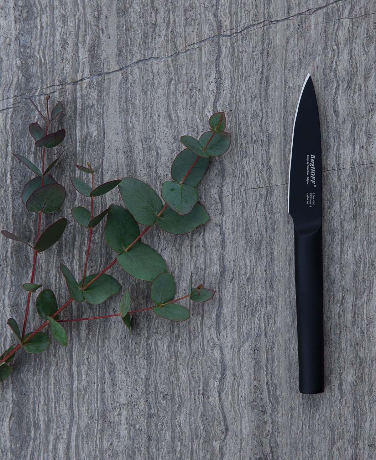 Berghoff Ron 3.35" Stainless Steel Paring Knife In Black