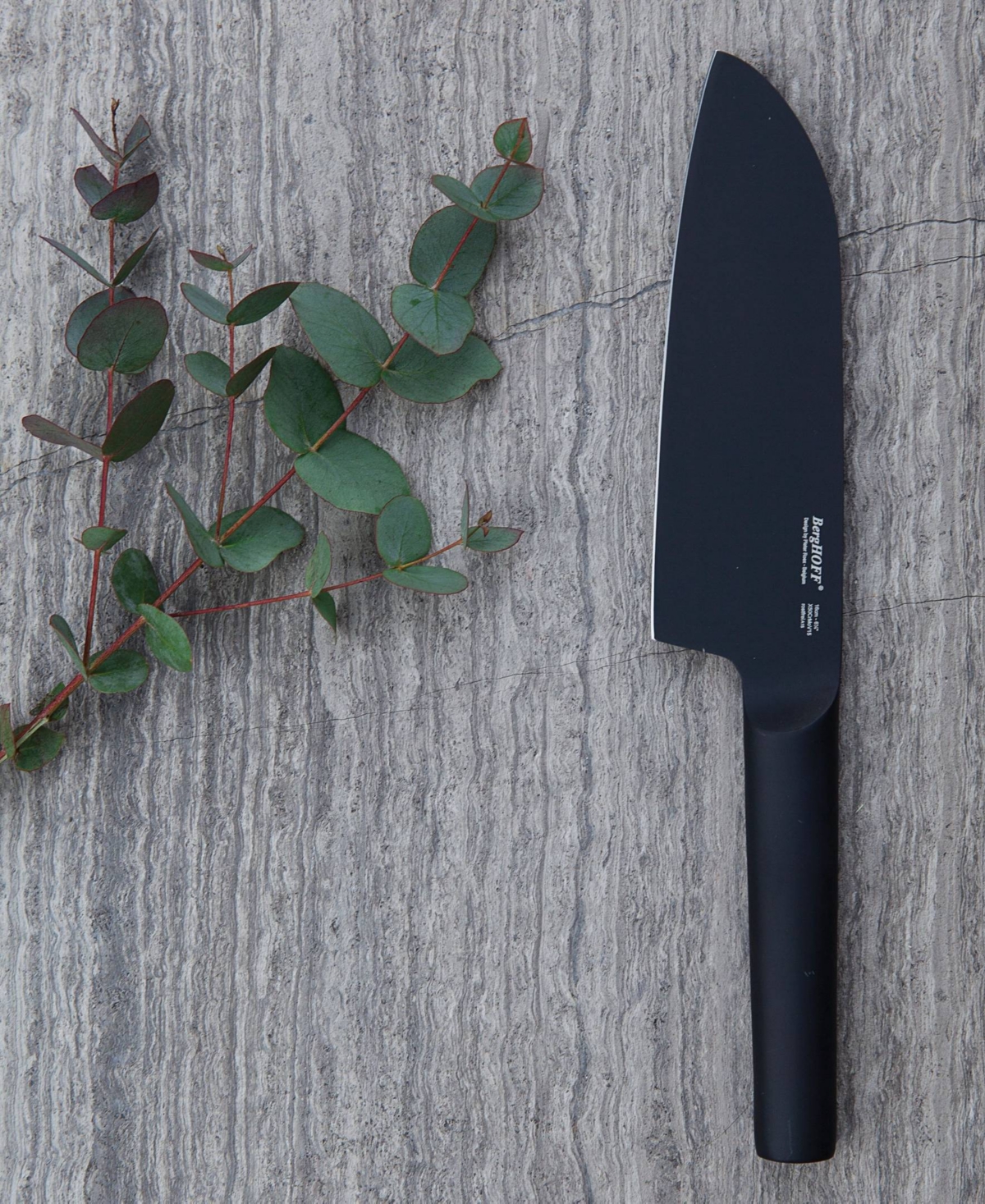 Berghoff Ron Stainless Steel 4-piece Knife Set In Black