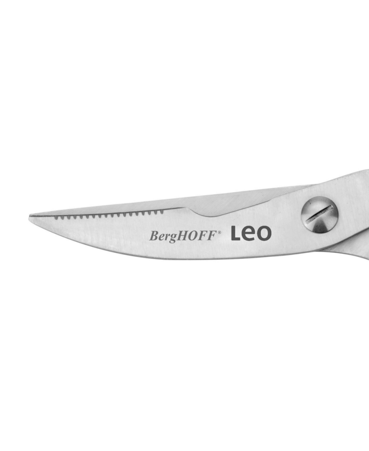 Berghoff Leo Graphite 9.75" Poultry Shears In Black