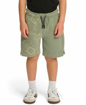Little and Big Boys Fleece Print Blocked Shorts