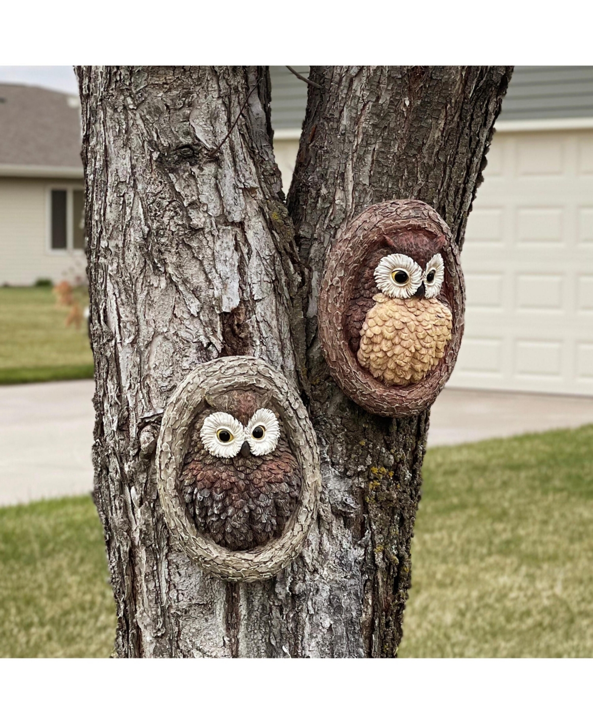 Outdoor Polyresin Winifred and Wesley the Wise Old Owls Tree Hugger Tree Trunk Garden Sculpture Decoration - 9" - 2pc