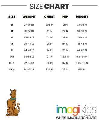 Boys Warner Bros. 2 Pack Long Sleeve T-Shirts