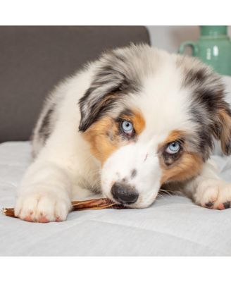 Bully Sticks: 3pk - Standard 6"