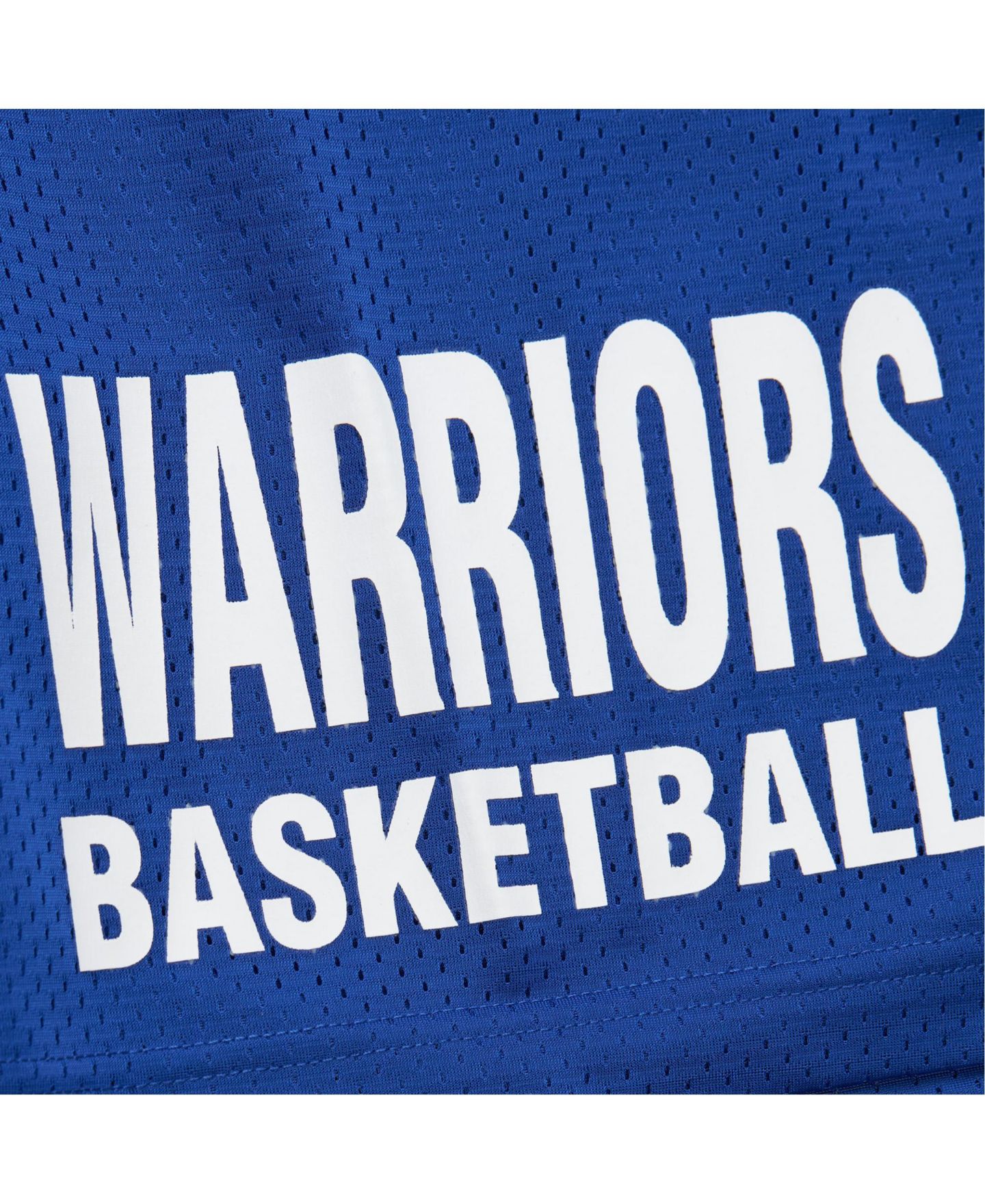 Мужские шорты Mitchell & Ness Royal Golden State Warriors Hardwood Classics Gameday Mesh — фото 2