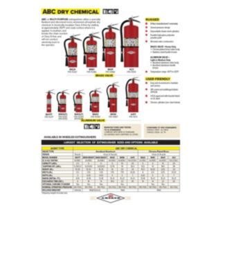 B456, 10lb ABC Dry Chemical Fire Extinguisher with Aluminum Valve & Wall Hanger, Pack of 3