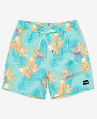 Men's Cannonball Volley 17 Boardshorts