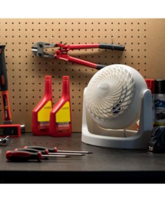 WOOZOO Circulator Fan, 5.5" Blade, White