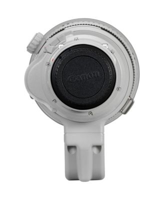 EF 200-400mm f/4L IS USM Extender 1.4x Lens