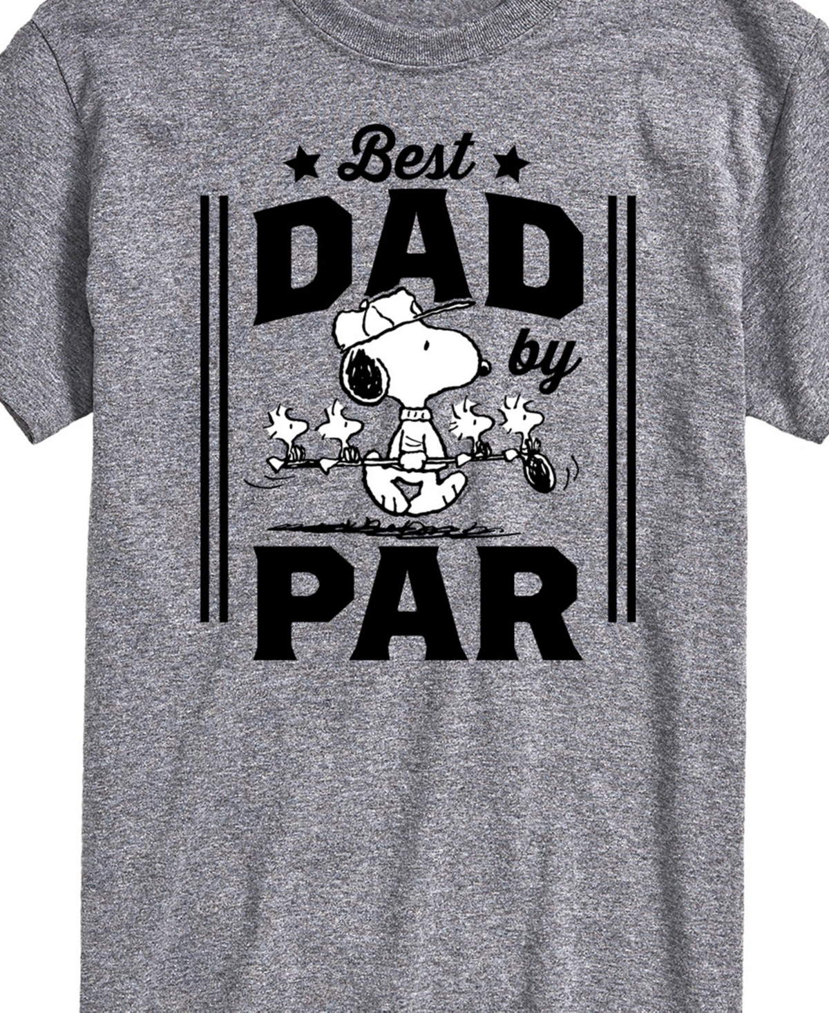 Airwaves Men's Peanuts Snoopy Father's Day Best Dad By Par Short Sleeve T-shirt In Gray