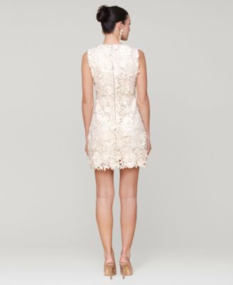 Women's Sleeveless 3D Floral Embroidery Mini Dress
