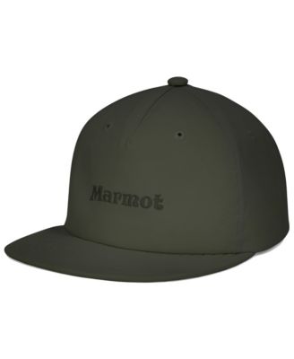 Marmot