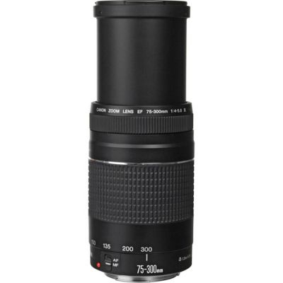 EF 75-300mm f/4-5.6 III Lens with ProOptic 58mm Filter Kit