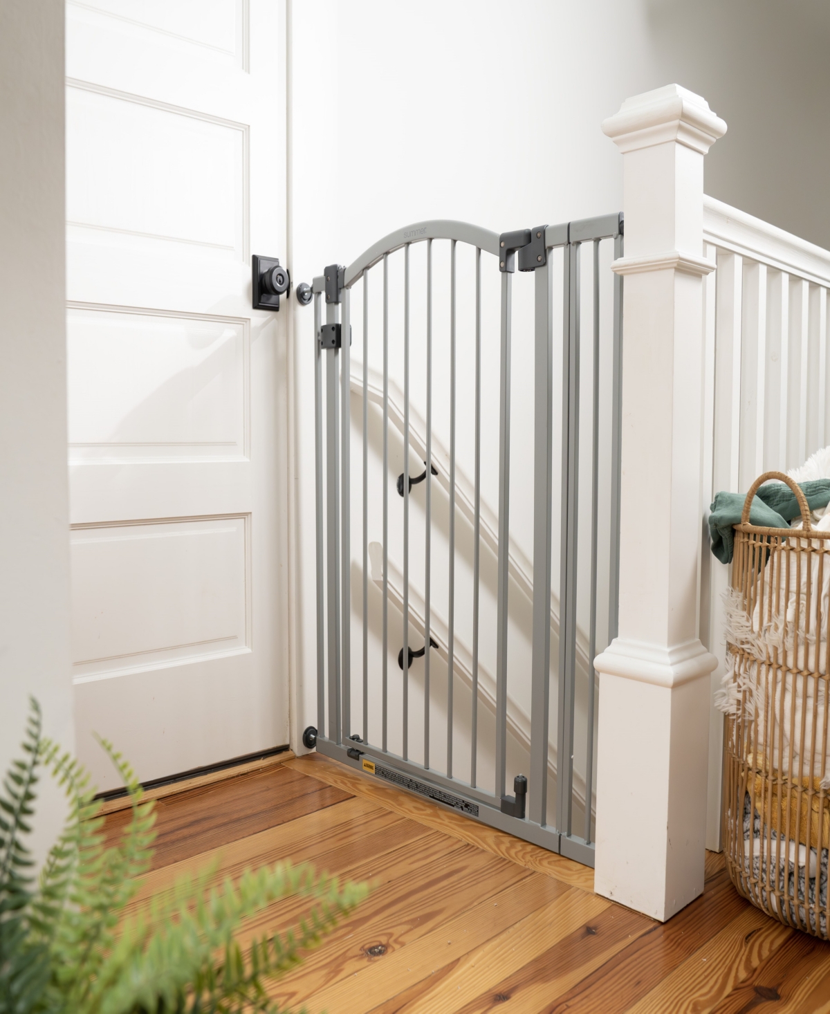 Ingenuity Baby The Thruway 53w Series Baby And Dog Gate