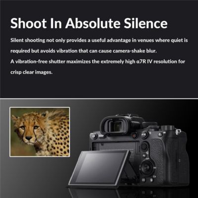 Alpha a7R IV Mirrorless Camera (V2) Bundle with Sony FE 24-70mm f/2.8 GM Lens, Backpack, Memory Card, Battery Pack