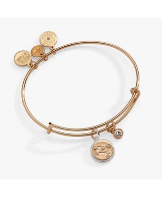 Alex and Ani