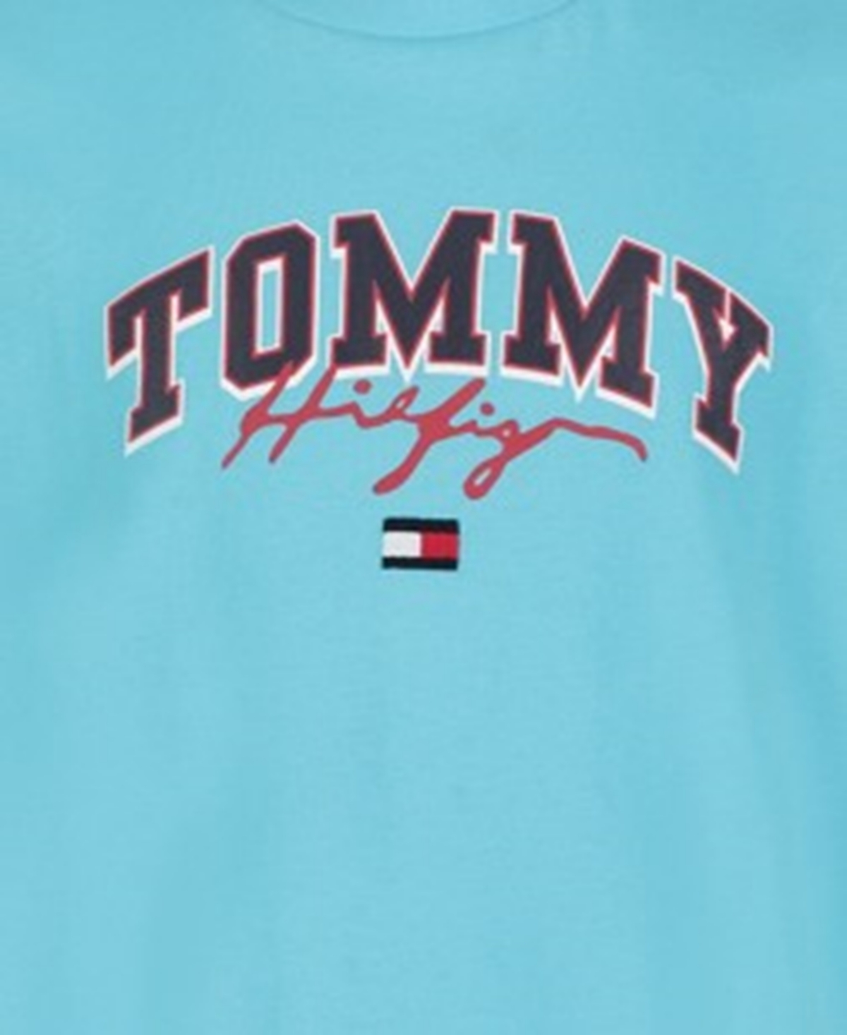 Tommy Hilfiger Big Boys Ivy Center Short Sleeve T-shirt