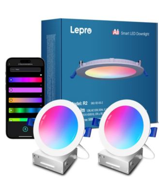 Lepro