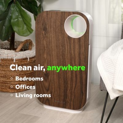 OVAL AIR H13 HEPA 5-in-1, 600 sq. ft. Coverage – Reduces Allergies Air Purifier