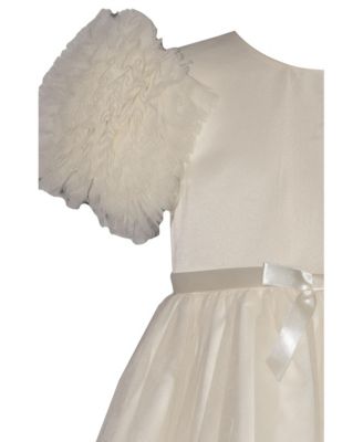 Toddler and Little Girls Puff Sleeved Party Dress