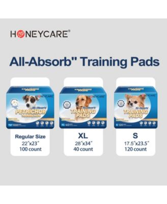All-Absorb Puppy Training Pads, Ultra Absorbent and Odor Eliminating, Leak-Proof 5-Layer Potty Training Pads with Quick-Dry Surface 22"x23 inch, 200ct