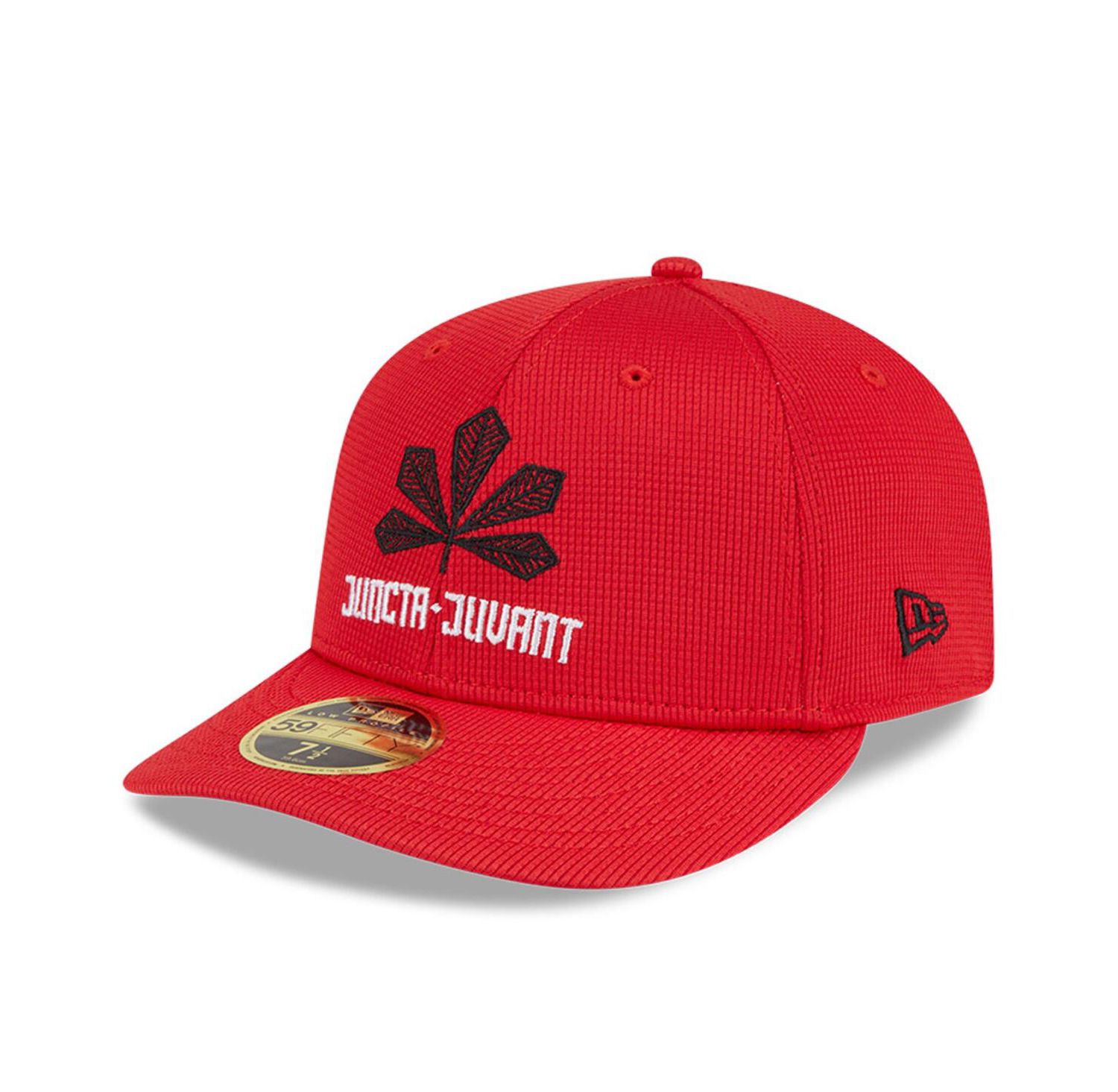 Men's Red Cincinnati Reds City Connect Batting Practice Low Profile 59FIFTY Fitted Hat