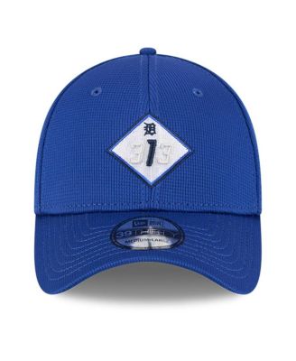 Men's Blue Detroit Tigers City Connect Batting Practice 39THIRTY Flex Hat