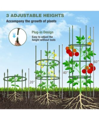 3 Pack 60 inch Adjustable Tall Plant Support Trellis for Climbing Plants