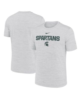 Nike - Men's Ash Michigan State Spartans 2025 Sideline Velocity Performance T-Shirt