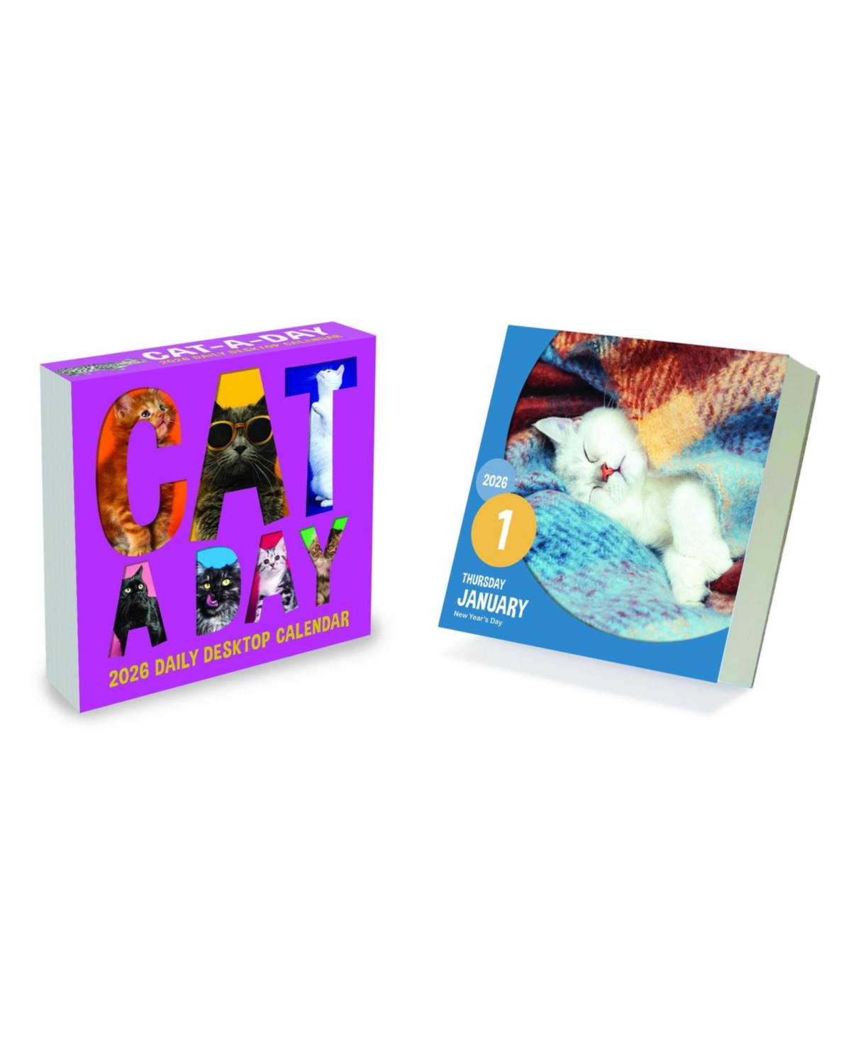 2026 Cat A Day Daily Desktop Calendar - Multicolor