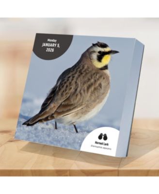 2026 Birds: Backyard & Beyond Daily Desktop Calendar