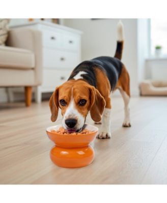 Orange Shaped Stoneware Elevated Pet Bowl, Raised Ceramic Food & Water Dish for Dogs and Cats