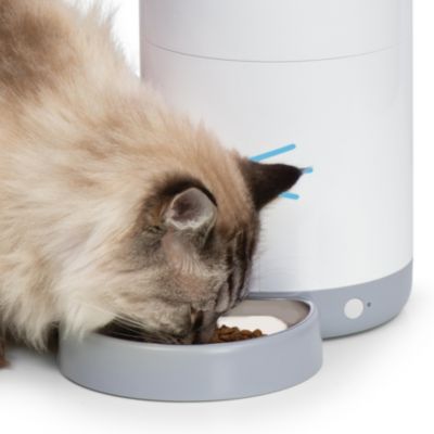 Pixi Vision Smart Cat Feeder