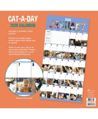 2026 Cat-A-Day Wall Calendar