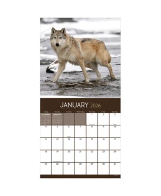 2026 Wolves Wall Calendar