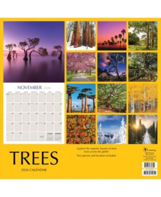 2026 Trees Wall Calendar