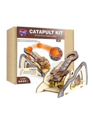 LIVEVIE 3D Wooden Catapult Kit STEM Toy for Kids, Includes Panels ...