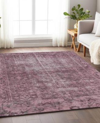 Chantille Machine Washable ACN1228 2'6"x3'10" Area Rug