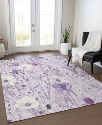Chantille Machine Washable ACN1501 2'6"x3'10" Area Rug