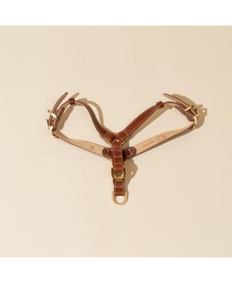 Roma Harness