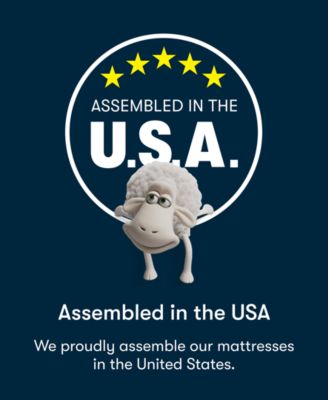 Serta Dream Haven 10 Plush Pillow Top Mattress In A Box Collection