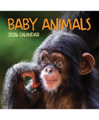 2026 Baby Animals Wall Calendar