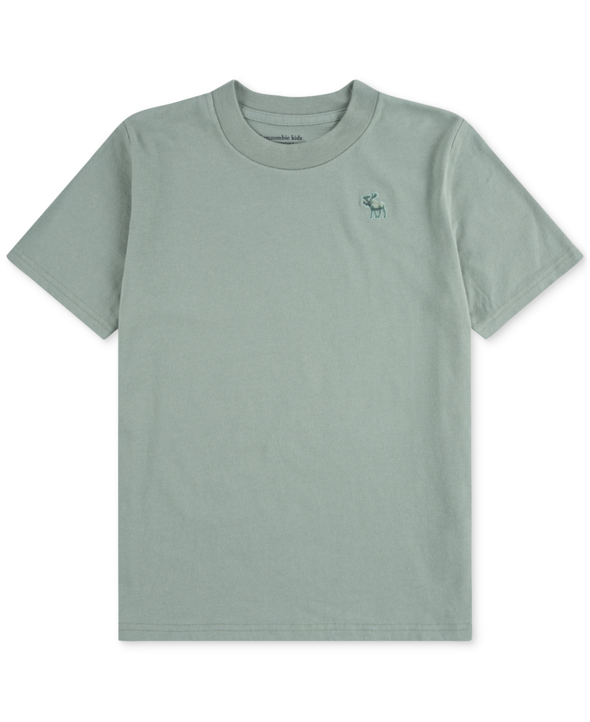 Abercrombie Boys Essential T-shirt In Green