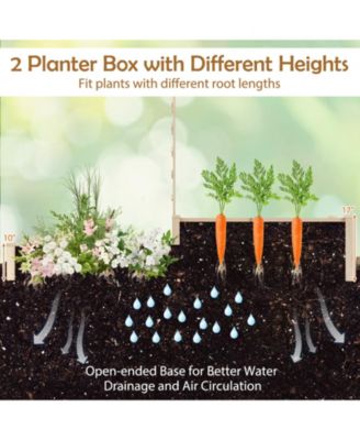 Raised Garden Bed with Trellis and 2 Elevated Planter Boxes for Space-Saving Vertical Gardening