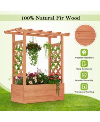 Raised Garden Bed Elevated Planter Box with Trellis and Hanging Roof