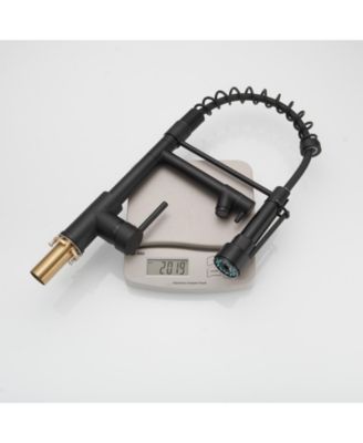 Contemporary Single Handle Pull-Down Spring Faucet with Sprayer and Deck Plate Commercial Kitchen Faucet