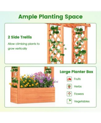 Raised Garden Bed with Side Trellis and Hanging Roof and Drainage Hole