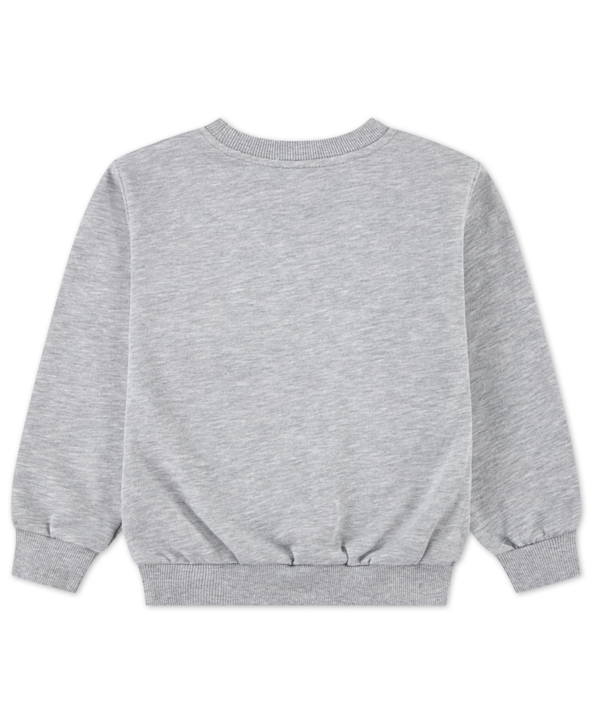 Nike Toddler & Little Boys Sportswear P.e. Graphic Crewneck Sweatshirt In Gray